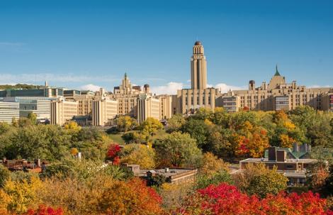 université de montréal, vue du ciel, arbre